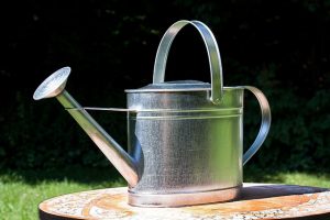 watering-can-397301_640